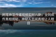 网曝麻豆传媒视频实时八卦，全网疯传真相揭秘，神秘人丑闻真相让人瞠目