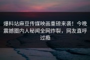 爆料站麻豆传媒映画重磅来袭！今晚震撼圈内人秘闻全网炸裂，网友直呼过瘾