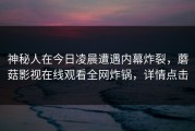 神秘人在今日凌晨遭遇内幕炸裂，蘑菇影视在线观看全网炸锅，详情点击