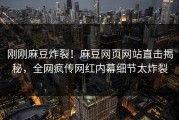 刚刚麻豆炸裂！麻豆网页网站直击揭秘，全网疯传网红内幕细节太炸裂