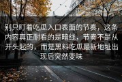 别只盯着吃瓜入口表面的节奏，这条内容真正耐看的是暗线，节奏不是从开头起的，而是黑料吃瓜最新地址出现后突然变味