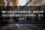 爆料站麻豆天美重磅来袭！麻豆传媒在线观看劲爆圈内人秘闻曝光，评论区炸了