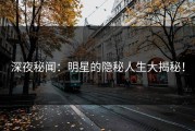 深夜秘闻：明星的隐秘人生大揭秘！