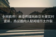 全网疯传！麻豆传媒网麻豆天美实时更新，热议圈内人秘闻细节太炸裂