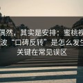 看似偶然，其实是安排：蜜桃视频在线这波“口碑反转”是怎么发生的？关键在常见误区