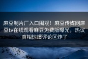 麻豆制片厂入口围观！麻豆传媒网麻豆tv在线观看麻豆免费版曝光，热议真相惊爆评论区炸了