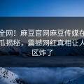 震惊全网！麻豆官网麻豆传媒在线麻豆吃瓜揭秘，震撼网红真相让人评论区炸了