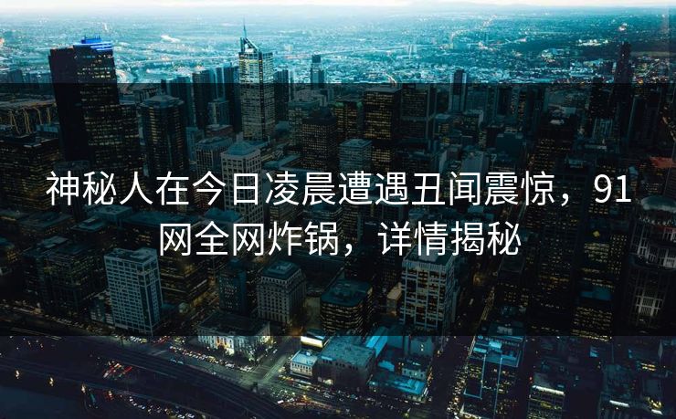 神秘人在今日凌晨遭遇丑闻震惊，91网全网炸锅，详情揭秘